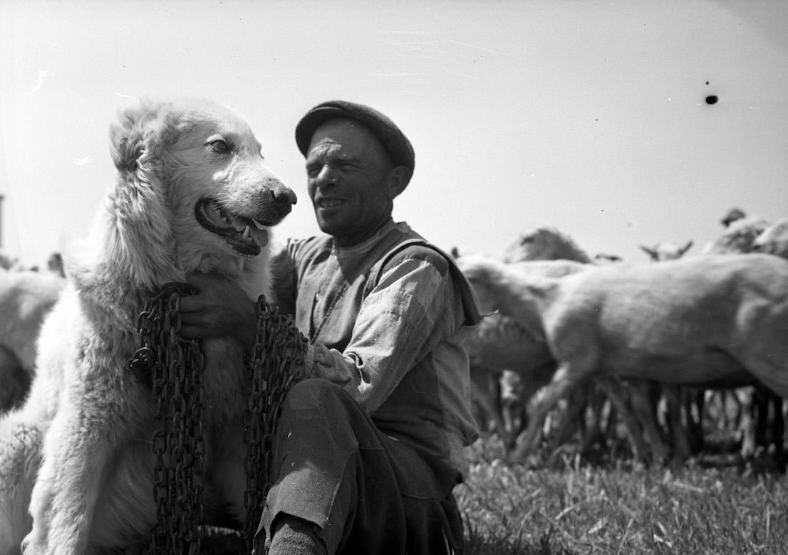 Federico Patellani Associazione Fotografica