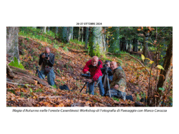 Magia d'Autunno nelle Foreste Casentinesi: Workshop di Fotografia di Paesaggio con Marco Cavazza