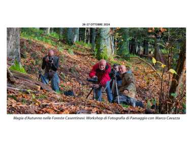 Magia d'Autunno nelle Foreste Casentinesi: Workshop di Fotografia di Paesaggio con Marco Cavazza