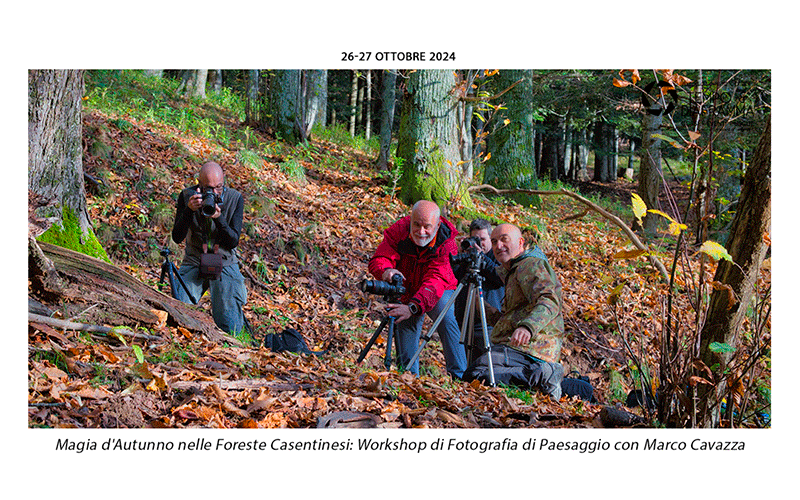 Magia d'Autunno nelle Foreste Casentinesi: Workshop di Fotografia di Paesaggio con Marco Cavazza