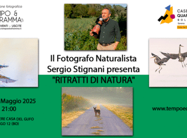 Il Fotografo Naturalista Sergio Stignani presenta "RITRATTI DI NATURA"