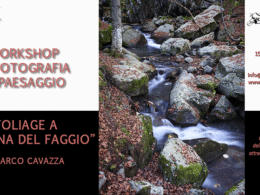 Workshop di fotografia “Foliage a Madonna del Faggio ” di Marco Cavazza