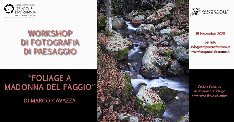 Workshop di fotografia “Foliage a Madonna del Faggio ” di Marco Cavazza